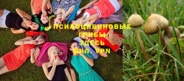 PSILOCYBIN Володарск