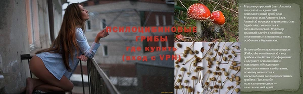 ECSTASY Волоколамск