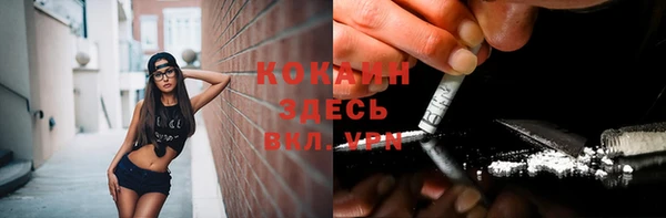прущие крисы Верея