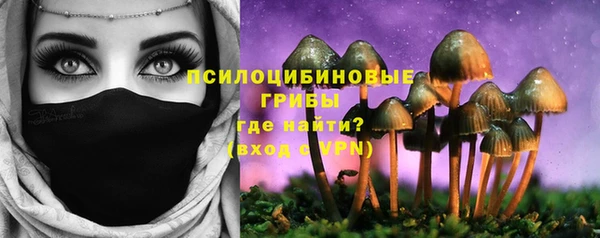ECSTASY Волоколамск