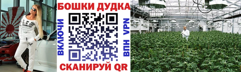 Бошки Шишки SATIVA & INDICA  даркнет сайт  KRAKEN как войти  Долинск 